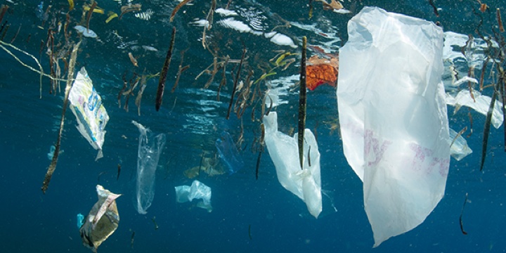 Reducing the Pacific Garbage Patch
